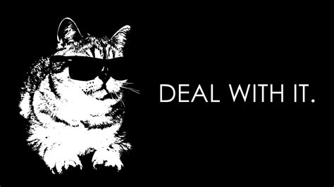 Cat with Sunglasses Wallpapers - Top Free Cat with Sunglasses ...