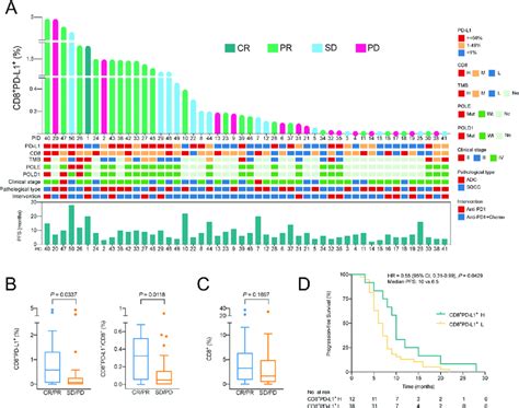 Association Between Cd Pd L Tils Infiltration And Response To