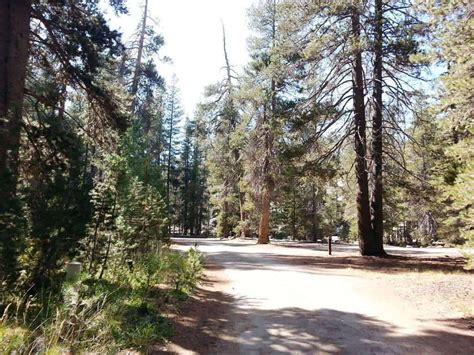 Yosemite Creek Campground Yosemite National Park