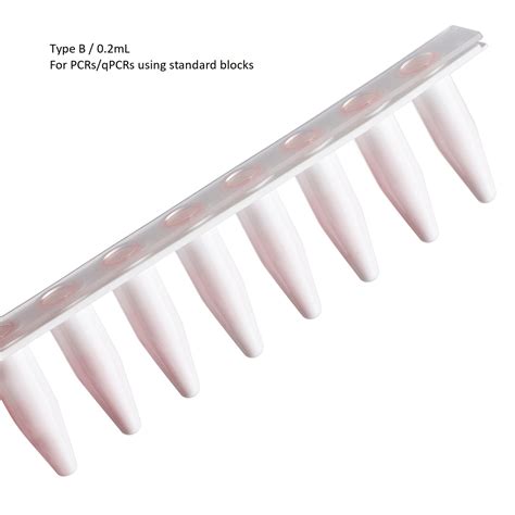 Strip Pcr Tubepcr Strip Tubespcr Strip Tube Manufacturer Four