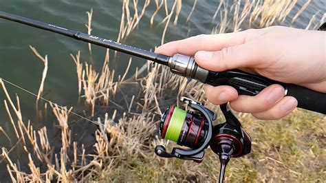 Daiwa Ballistic Mq Lt Spinner Review Bass N Edge