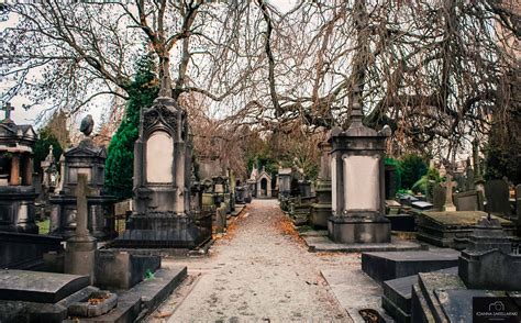 The Most Captivating European Cemeteries: Places Of Honor And History