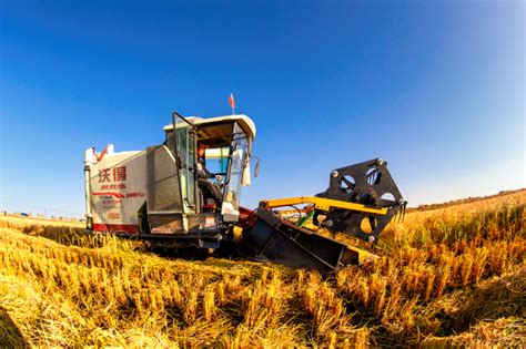 Rice Farmers See Benefits Of Modern Technology In Heilongjiang