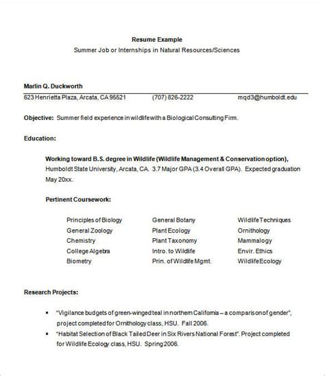 13 Internship Resume Templates Pdf Doc Free And Premium Templates