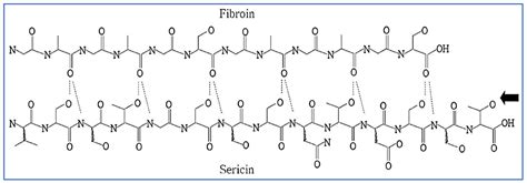 Ijms Free Full Text Silk Sericin Protein Materials Characteristics