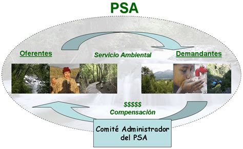 Ecoturismo Y Pago Por Servicios Ambientales Qu Es El Psa