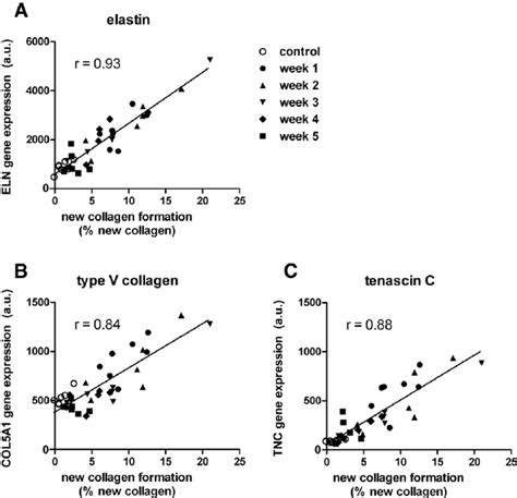 During bleomycin-induced lung fi brosis, gene expression of elastin ...