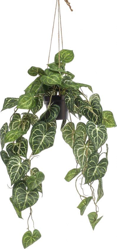 Hangplant Anthurium Polyester Groen 80 Cm Hoog Bol