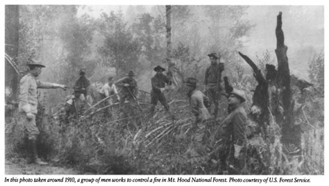 Green Cascadia The Forest History Society