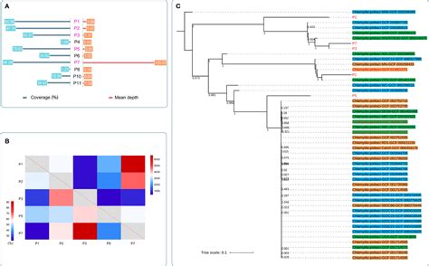 Frontiers The Application Value Of Metagenomic And Whole Genome