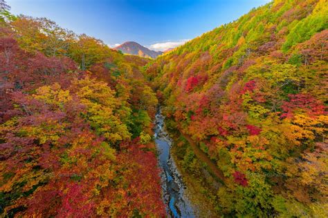 「中津川渓谷」秋元湖の上流に位置する断崖絶壁と灰色の岩が美しい渓谷 ピクスポット 絶景・風景写真・撮影スポット・撮影ガイド・カメラの使い方