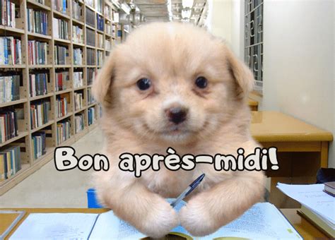 GIFs Animés Bon Après Midi USAGIF