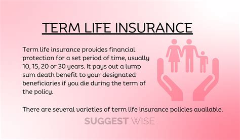 What Is Term Life Insurance And How Does It Work Suggest Wise