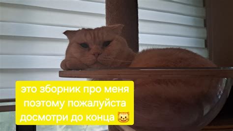 - YouTube