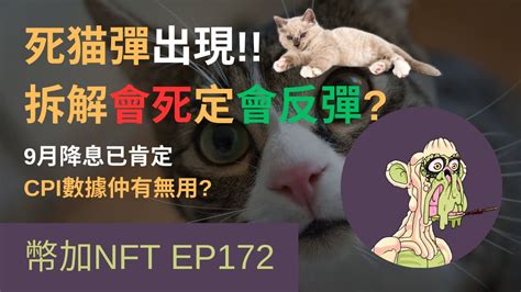 幣加nft Ep172 死猫彈出現 拆解會死定會反彈 肯定9月會降息 Cpi數據仲有無用 心心仔 Btc