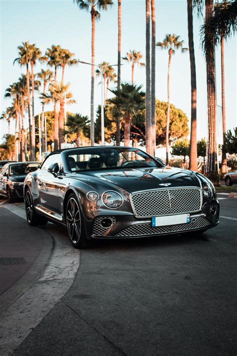 Boulevard De La Croisette Cannes