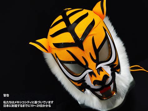 Lucha Libre Mask