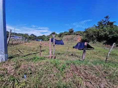 Falso rumor de muerte de dueño desató invasión de 200 familias en finca