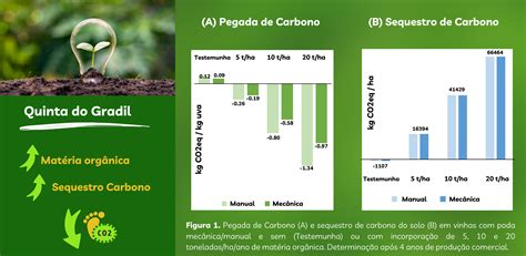 Pegada De Carbono Na Viticultura O Potencial Das Pr Ticas Agr Colas No