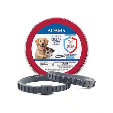 Best Flea Collar For Dogs: Small & Large Breeds, Alternative & More