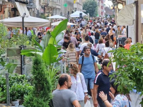 Cremona Sera Parata Di Colori E Di Profumi Nella Citt Rossa Con Le