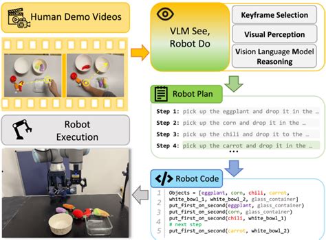 literature review vlm  robot  human demo video  robot action