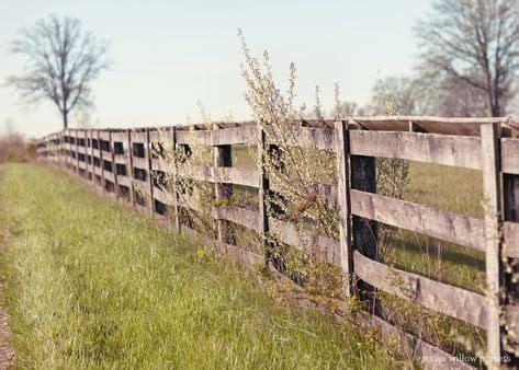 23 Pasture fence ideas | fence, pasture fencing, fence design