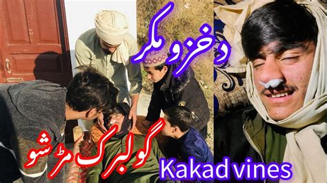 Da Khazo Maker Aw Gulbark Mer Shoo Kakad Vines New Funny Video