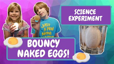 Bouncy Naked Eggs Cool Science Experiment Youtube