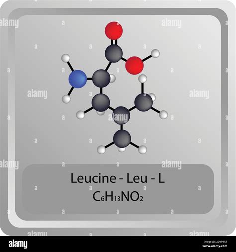 Formule Chimique De La Leucine Banque D Images Vectorielles Alamy