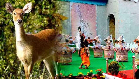 Sangai Festival 2022: A Festival of Northeast India - Liamtra Blogs