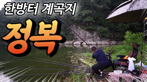 차대고 1보 충주 저수지 붕어낚시 대물이 덜커덩 덜커덩 Youtube