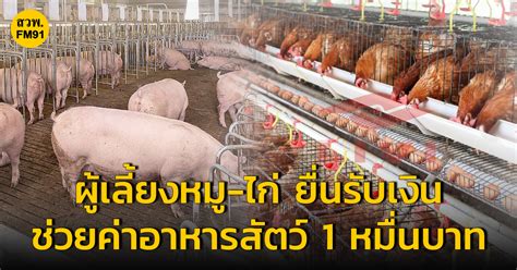 เกษตรกรผู้เลี้ยง สุกร ไก่ไข่ ไก่เนื้อ ยื่นขอรับการสนับสนุนค่าอาหารสัตว์