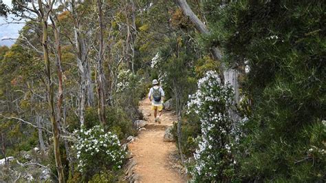 Major Kunanyi Mt Wellington Walking Route To Close