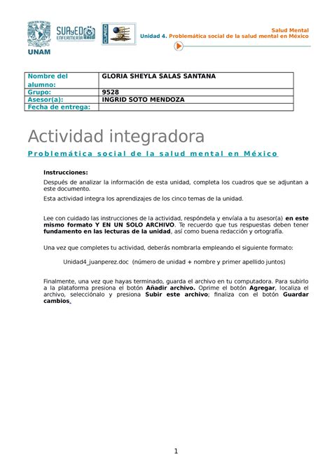 Actividad Integradora Salud Mental Unidad Salud Mental Unidad