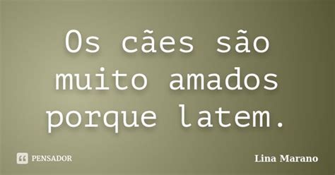 Os Cães São Muito Amados Porque Latem Lina Marano Pensador