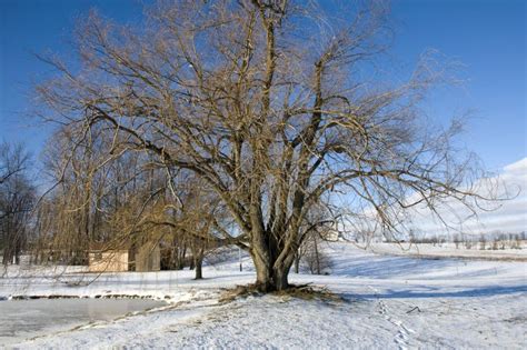 Winter Landscape in Ohio stock image. Image of landscape - 12896937