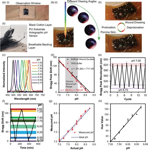 A Conformable Holographic Sensing Bandage For Wound Monitoring Zhang