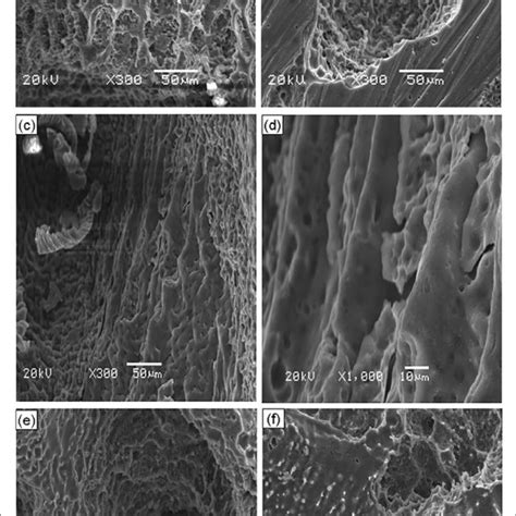 Electrochemical Corrosion Test Results Of As Cast Mg Zn Ca Mn Alloys