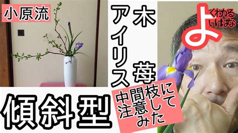 【よくわかる生け花】いけばな小原流 瓶花 傾斜型 木苺 アイリス の自宅稽古動画です。 おうち生け花のヒントになれば幸いです。始めよういけばな