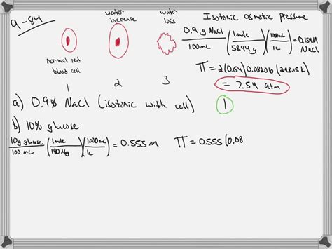 Draw And Label The Diagram Of The Following Model Solvedlib