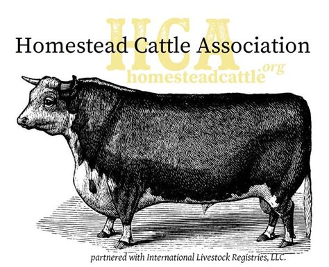 Homestead Cattle Association Llc Hca Cattle