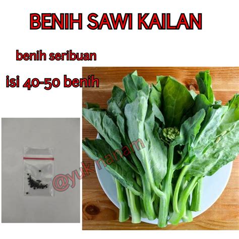 Jual Benih Sawi Kailan Full White Known You Seed Bibit Tanaman