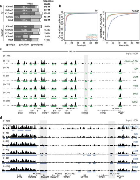 Deep Sequenced Chip Seq Profiles For Key Histone Modifications In Human