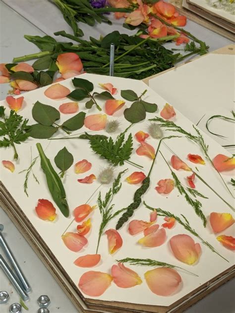 Flower Pressing Workshops In How To Preserve Flowers Pressed