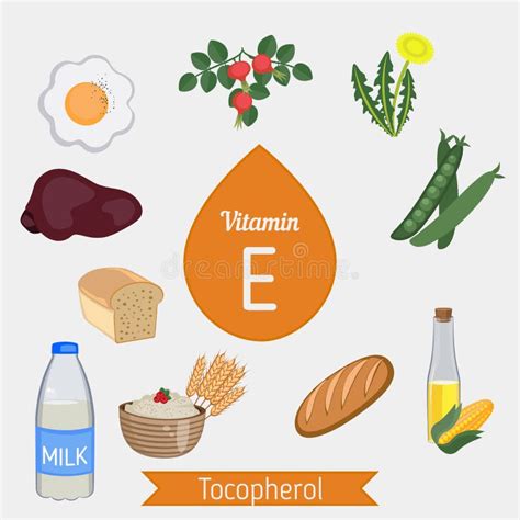 Vitamina E O Tocoferol Infographic Ilustración del Vector Ilustración