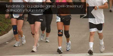 Tendinitis De La Pata De Ganso Definici N Y Tratamiento Runfitners