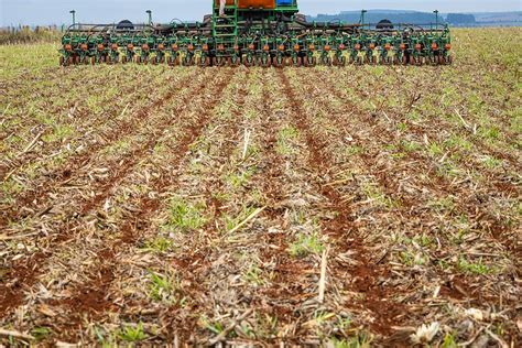 Falta De Chuvas Atrasa Plantio De Milho E Soja Diz Consultoria