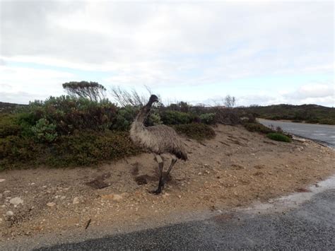 Coffin Bay fishing reports | Landangler's Blog