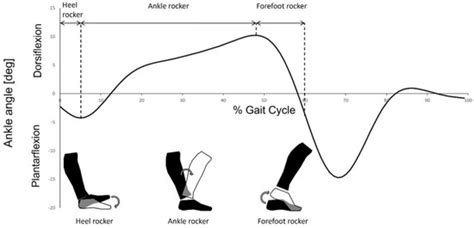 Impact Of Gait Events Identification Through Wearable Inertial Sensors On Clinical Gait Analysis